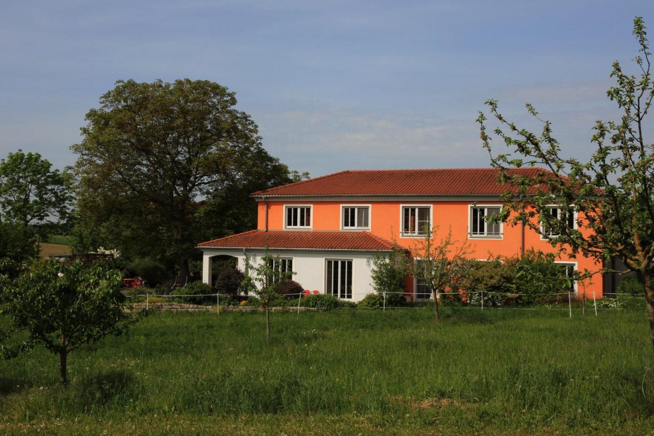 ホテル Weinhof Am Nussbaum Willanzheim エクステリア 写真