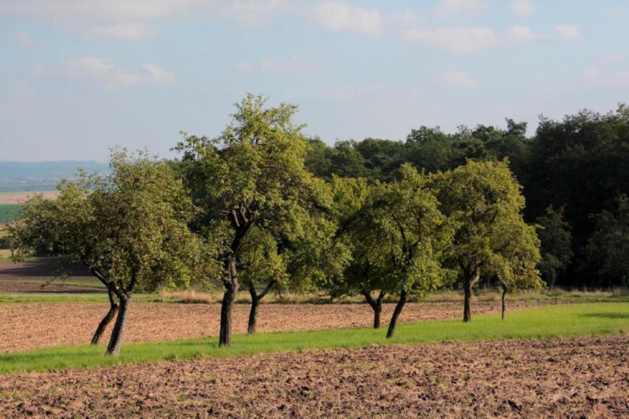 ホテル Weinhof Am Nussbaum Willanzheim エクステリア 写真